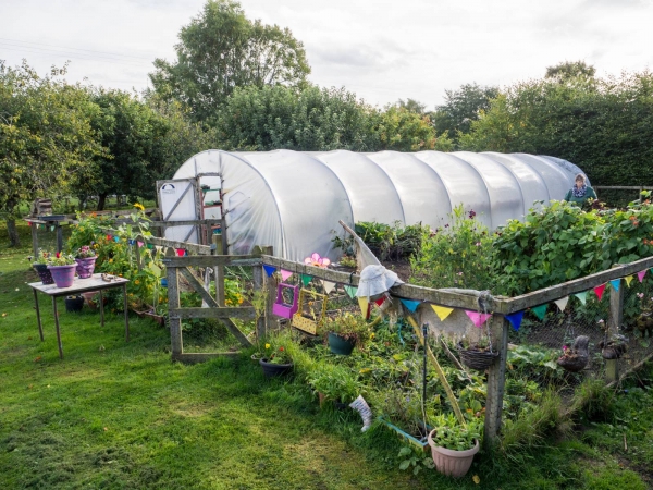 Judi's Polytunnel